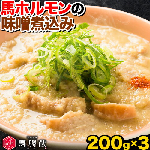 【ふるさと納税】馬ホルモンの味噌煮込み 600g 200g×3 馬勝蔵 《30日以内に出荷予定(土日祝除く)》熊本県 大津市 馬肉 ホルモン 味噌煮 みそ おつまみ 小術 コジュツ 1