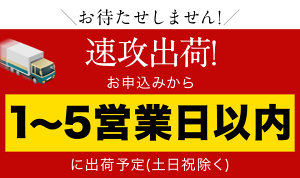 【ふるさと納税】豚肉切り落とし ( 切り落とし or ミンチ ) 定期便 あり 豚 細切れ こま切れ 豚こま 豚小間切れ 豚しゃぶ 小分け 真空 訳あり 訳有 ひき肉 お楽しみセット 傷 規格外 うまかポーク 数量限定 簡易包装 冷凍配送 《1-5営業日以内に出荷予定(土日祝除く)》