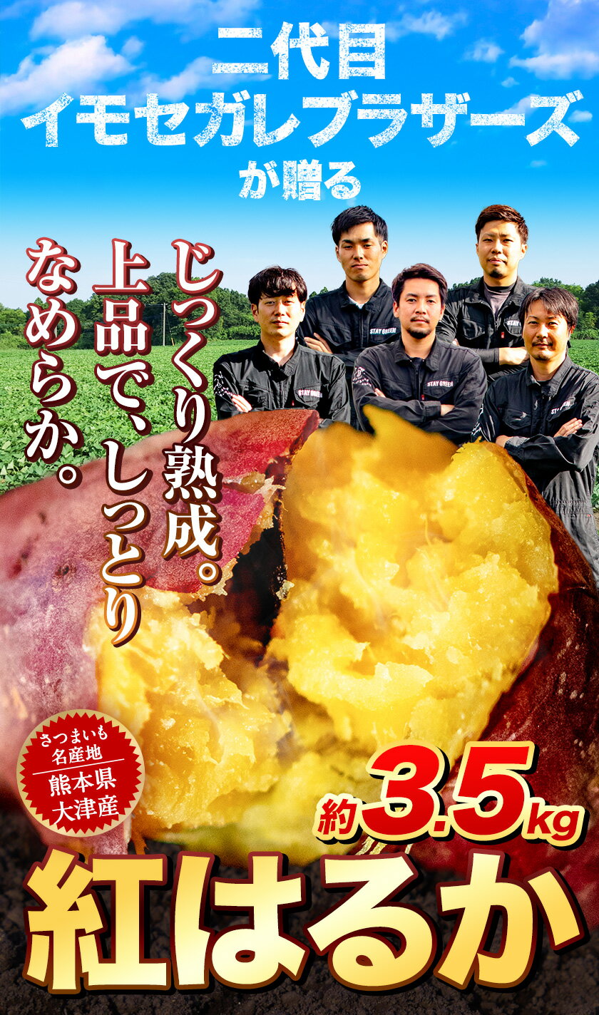 【ふるさと納税】熊本県大津町産 紅はるか 約3.5kg（大中小不揃い）《11月末-2023年4月末頃より順次出荷》二代目イモセガレブラザーズ さつまいも 芋 紅はるか スイートポテト 干し芋にも 特産品 熟いも 野菜 薩摩芋 さつま芋