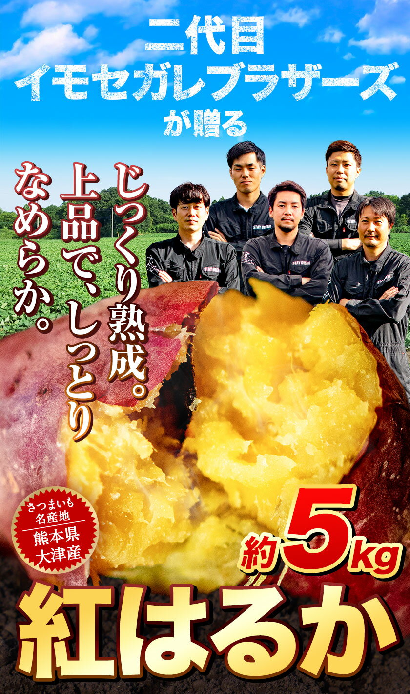 【ふるさと納税】熊本県大津町産 紅はるか 約5kg（大中小不揃い）《11月末-2023年4月末頃より順次出荷》二代目イモセガレブラザーズ さつまいも 芋 紅はるか スイートポテト 干し芋にも 特産品 熟いも 野菜 薩摩芋 さつま芋