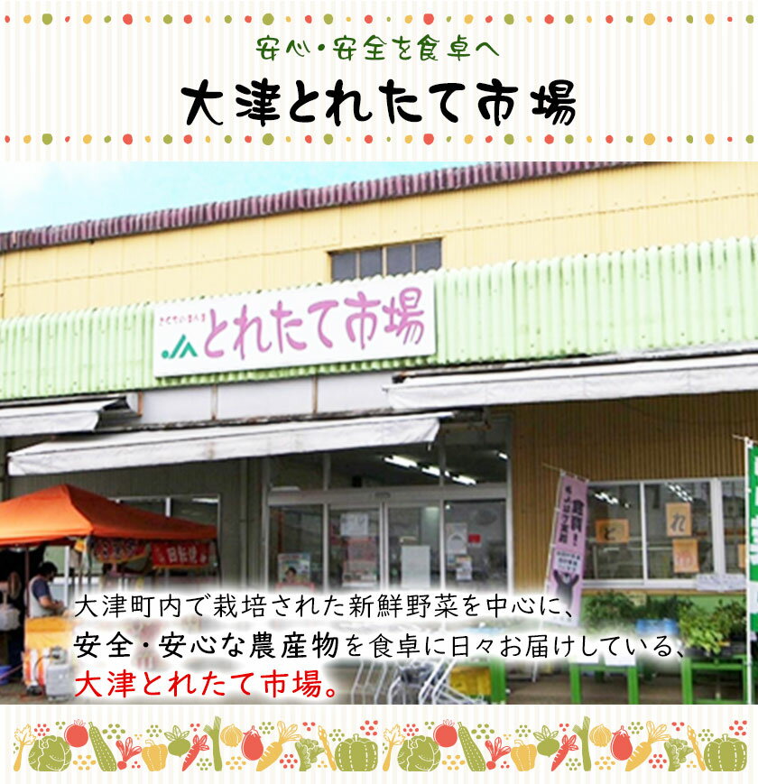 丸善食品工業 ボトル入り なめ茸 230g×24本入｜ 送料無料 国産えのき茸 長野県産 味付