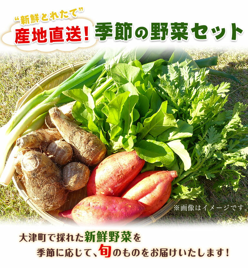 丸善食品工業 ボトル入り なめ茸 230g×24本入｜ 送料無料 国産えのき茸 長野県産 味付