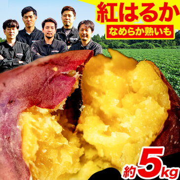 【ふるさと納税】熊本県大津町産 紅はるか 約5kg（大中小不揃い）《11月末-2023年4月末頃より順次出荷》二代目イモセガレブラザーズ さつまいも 芋 紅はるか スイートポテト 干し芋にも 特産品 熟いも 野菜 薩摩芋 さつま芋