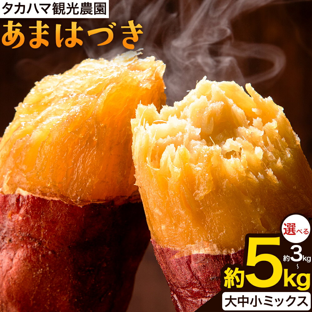 タカハマ観光農園 の あまはづき 3kg 5kg タカハマ観光農園[9月下旬-12月末頃出荷]熊本県 大津町 さつまいも 芋 いも イモ あまはづき アマハヅキ 送料無料
