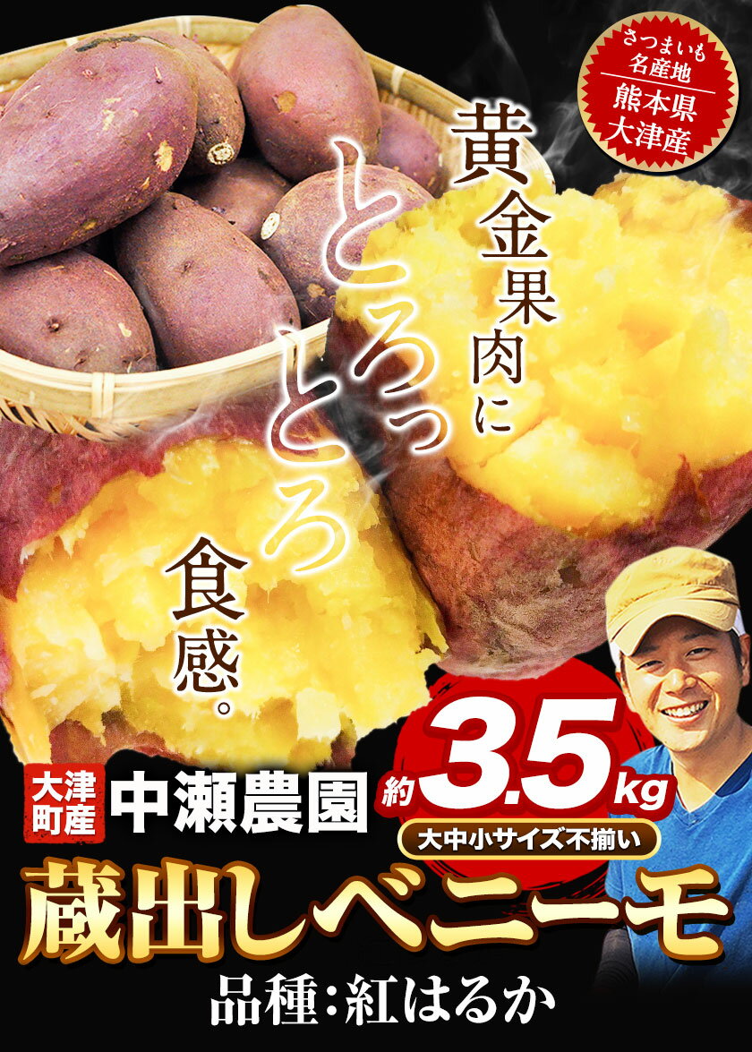 【ふるさと納税】熊本県大津町産 中瀬農園のベニーモ 約3.5kg(大中小サイズ不揃い)《11月中旬-2023年4月末頃より順次出荷》 さつまいも 芋 紅はるか スイートポテト 干し芋にも 特産品
