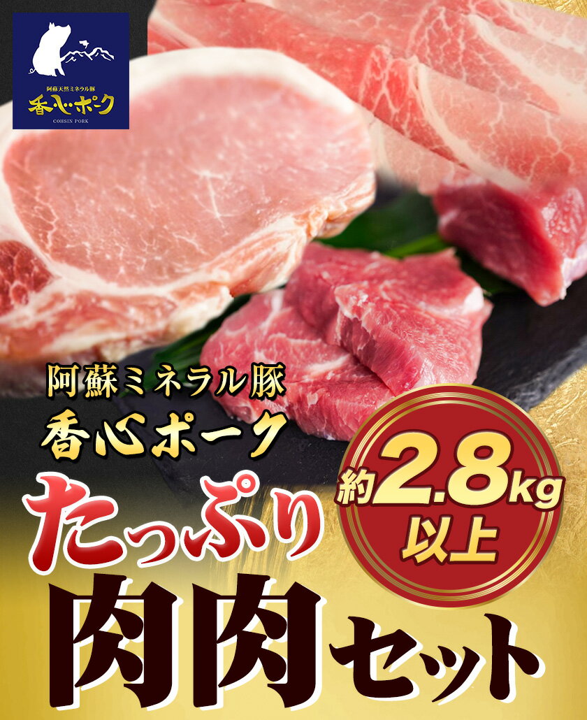 【ふるさと納税】香心ポーク たっぷり肉肉セット 約2.8kg以上 有限会社コーシン《30日以内に出荷予定(土日祝除く)》 熊本 大津町 豚肉 豚 もも肉 モモ肉 ステーキ しゃぶしゃぶ すき焼き とんかつ 焼肉 送料無料