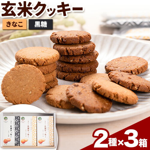 6位! 口コミ数「0件」評価「0」くまもと 玄米クッキー 2種×3箱(1箱に3袋入) 株式会社阿蘇自然の恵み総本舗 《30日以内に出荷予定(土日祝除く)》熊本県 大津町 クッ･･･ 