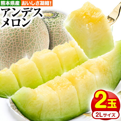 【ふるさと納税】熊本県産 アンデスメロン 2玉 2Lサイズ《5月中旬-5月末頃より順次出荷》熊本県 大津町 メロン めろん 果物 フルーツ スイーツ 送料無料のサムネイル