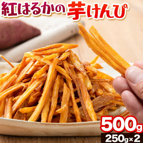 2位! 口コミ数「8件」評価「4.25」カリッカリ 紅はるかの芋けんぴ 500g (250g×2) 熊本県大津町産 無添加《30日以内に出荷予定(土日祝を除く)》薩摩芋 さつまいも･･･ 