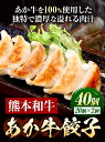 【ふるさと納税】熊本和牛 あか牛 餃子 40個 (20個×2) 三協畜産 《60日以内に出荷予定(土日祝除く)》 熊本県 大津町 ぎょうざ ギョーザ 牛肉 牛 送料無料 2