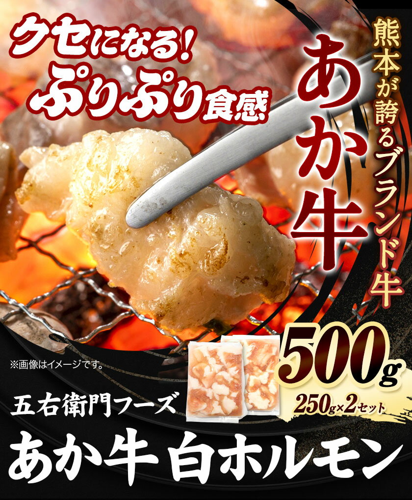【ふるさと納税】あか牛 白ホルモン 500g 五右衛門フーズ 《60日以内に出荷予定(土日祝除く)》 熊本県 大津町 牛肉 肉 国産 熊本県産 ブランド牛 絶品 贅沢 高級 あか牛 ホルモン もつ モツ もつ鍋
