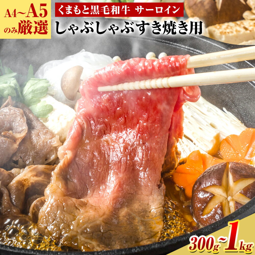 ڤդ뤵Ǽǡ ڸ̡ۡA4A5ۤޤȹµ  ֤ Ƥ ٤ 300g 500g 600g 1...