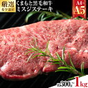 【ふるさと納税】【厳選希少部位】【A4~A5】くまもと黒毛和牛 ミスジステーキ 選べる 内容量 約300g(100g×3p) 約500g(100g×5p) 約1kg(100g×10p)《30日以内に出荷予定(土日祝除く)》熊本県 大津町 黒毛和牛 肉 お肉 和牛 牛 牛肉 A5 A4 希少部位 ステーキ MEAT PLUS