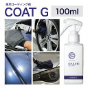 【ふるさと納税】車用品 OHAJIKI コートG 株式会社トーレストジャパン《30日以内に出荷予定(土日祝除く)》 熊本県 大津町 車 自動車用 コーティング剤...