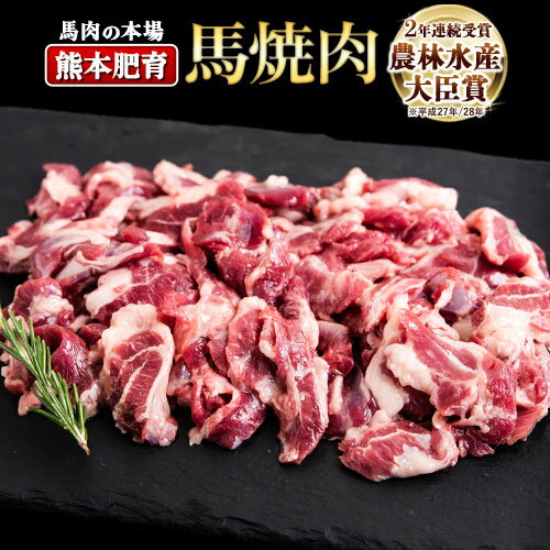 馬ひも焼肉用300g(50gx6袋) 肉 馬ひも 馬肉 熊本県大津町[90日以内に出荷予定(土日祝除く)]