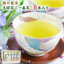 【ふるさと納税】玉緑茶(たまりょくちゃ)「一番茶」 100g×5本 熊本県 大津町産 株式会社 瀬川製茶《60日以内に出荷予定(土日祝除く)》