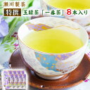 【ふるさと納税】<特撰>玉緑茶(たまりょくちゃ)「一番茶」 100g×8本 熊本県 大津町産 株式会社 瀬川製茶《60日以内に出荷予定(土日祝除く)》