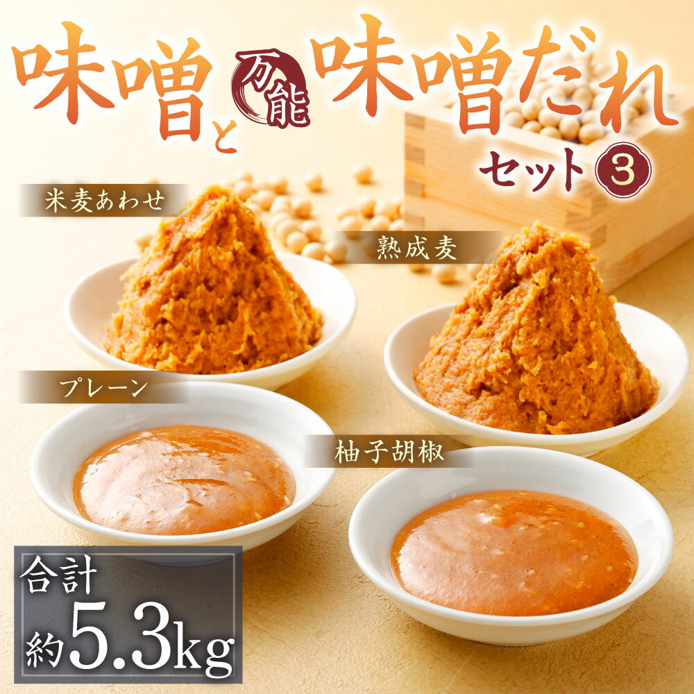 【ふるさと納税】味噌と万能味噌だれセット(3) 合計5360g みそ ミソ 味噌 味噌ダレ 柚子胡椒 プレーン 無添加 まぼろしの味噌 熟成麦味噌 合わせ味噌 熊本県 菊陽町 調味料 セット 送料無料