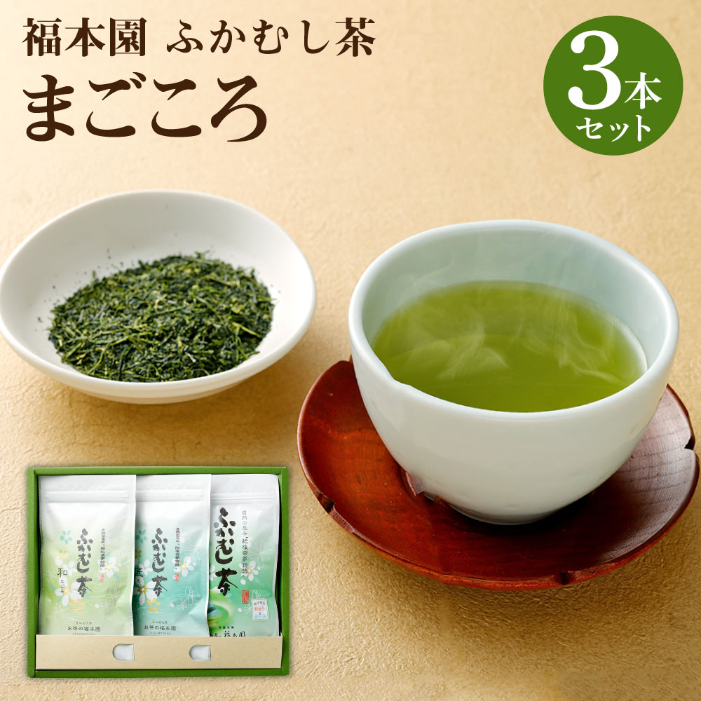 福本園 まごころセット ふかむし茶(100g×2袋) ティーパック(5g×18個) 合計3本290g 3種 セット 飲み比べ ふかむし茶 お茶 茶 茶葉 国産 菊陽町 送料無料