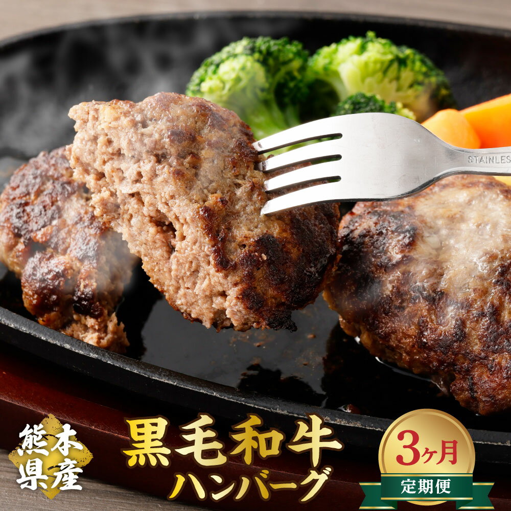 [3か月定期便]黒毛和牛ハンバーグ 合計42個 (120g×14個×3回) ハンバーグ 黒毛和牛 ハンバーガー 和牛 九州 熊本県 菊陽町 冷凍 送料無料