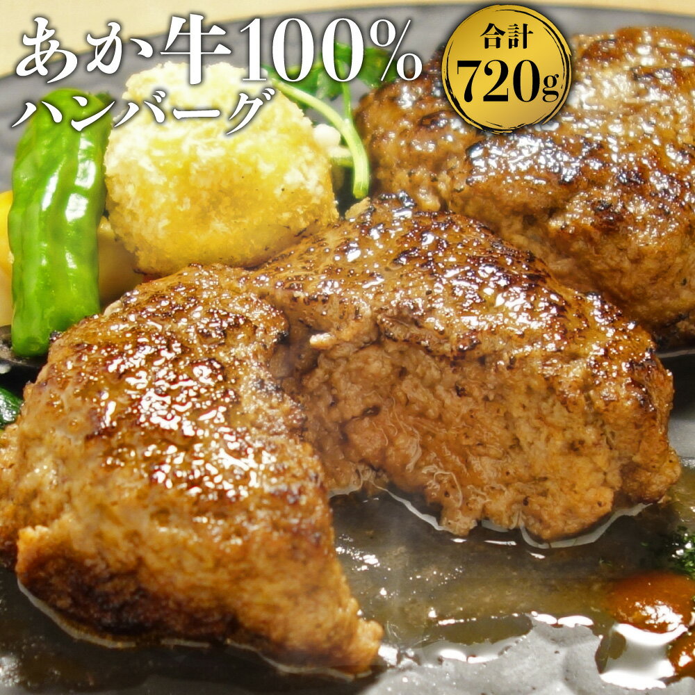 23位! 口コミ数「0件」評価「0」あか牛 100% ハンバーグ 合計720g 120g×6個 手作り 冷凍 おかず 惣菜 牛肉 国産牛 和牛 九州 熊本県 菊陽町 送料無料