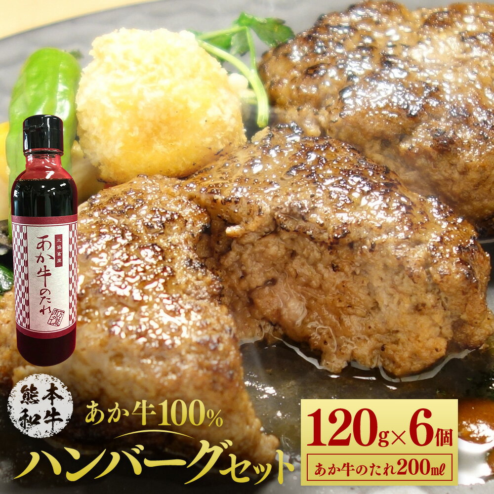 あか牛100%ハンバーグセット 120g×6個 たれ付き 200ml あか牛 赤牛 熊本和牛 和牛 ハンバーグ 牛 牛肉 肉 お肉 おかず 惣菜 セット 詰め合わせ 冷凍 九州 熊本県 菊陽町 送料無料