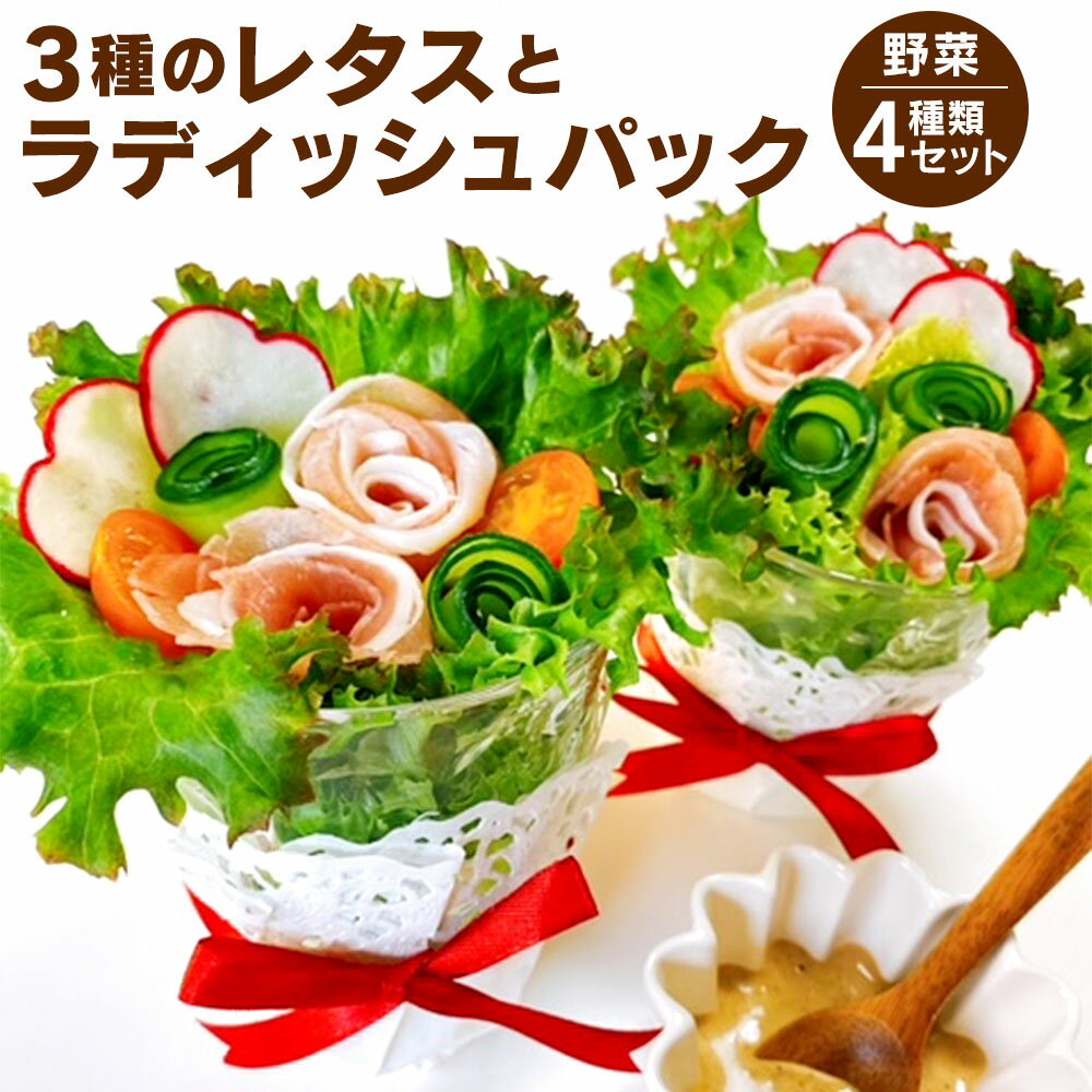 【ふるさと納税】健康野菜村！ 3種のレタスとラディッシュパック セット 野菜 レタス (フリルレタス・..