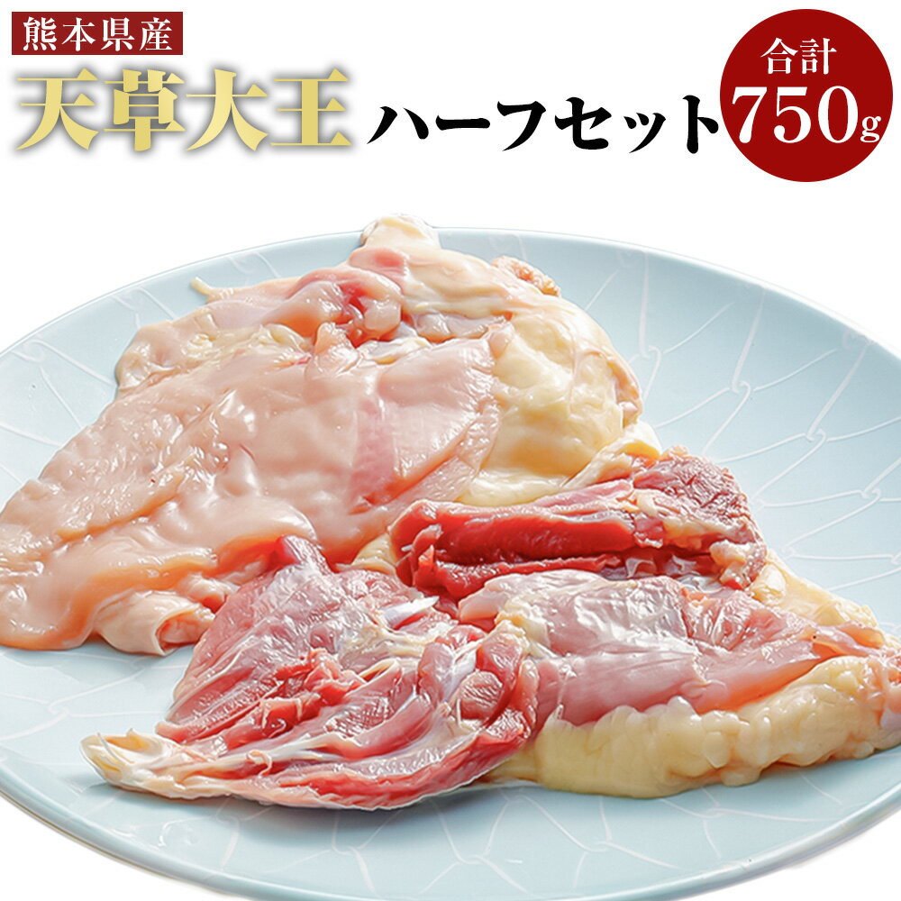 天草大王 ハーフセット 750g 肉 鶏肉 もも肉 むね肉 ささみ 冷凍 九州 熊本県 菊陽町 送料無料