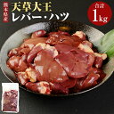 あそ大王ファーム（株）が育てる天草大王のお肉です。肉質は硬すぎず柔かすぎない絶妙な歯ごたえ・弾力とジューシーさが特徴です。ほのかな甘みとコクがありながらもしつこさやクセがありません。 レバーはビタミンA、B1、B2、鉄分を豊富に含みます。焼き鳥やパテに最適です。 商品説明 名称 天草大王 レバー・ハツ 産地 熊本県 内容量 1kg 賞味期限 360日 保存方法 マイナス18℃以下 注意事項 ※解凍後、必ず加熱してお召し上がりください。 ※配送指定日については承っておりません。 提供者 あそ大王ファーム株式会社 ふるさと納税 送料無料 お買い物マラソン 楽天スーパーSALE スーパーセール 買いまわり ポイント消化 ふるさと納税おすすめ 楽天 楽天ふるさと納税 おすすめ返礼品 工夫やこだわり かつて熊本には「天草大王」という我が国最大級の鶏（雄の最大のもので背丈90cm、体重約7kg）が飼育され、「博多の水炊き」用としてたいへん珍重されていましたが、時代の盛衰のなか絶滅してしまいました。平成4年から10年の歳月をかけて「ランシャン種」に「大シャモ」と「熊本コーチン」を交配し、特に発育と羽色に重点を置いて選抜交配を繰り返しました。そこで半世紀ぶりに復元したのが現在の「天草大王」です。 関わっている人 天草大王は「地鶏肉の特定JAS規格」の認証取得により、安全・安心な生産管理が徹底されています。生産者は熊本県が特定JAS規格に基づいて作成した管理マニュアルに沿った飼育を行っています。天草大王の大きさと肉質に対応すべく独自の飼育環境を整えたうえで、衛生的かつ高品質な天草大王の生産に努めています。 環境 飼育から処理・加工までの一貫体制で食の「安全」「安心」をお届けいたします。阿蘇の雄大な自然環境のもと、鶏たちが適度な運動ができ、ストレスを少なくするために、1平方メートルあたり7羽以下とゆとりあるスペースで120日間にわたりじっくりと大事に育てられます。 ・寄附申込みのキャンセル、返礼品の変更・返品はできません。寄附者の都合で返礼品が届けられなかった場合、返礼品等の再送はいたしません。あらかじめご了承ください。 ・ふるさと納税よくある質問はこちら 【地場産品に該当する理由】 熊本県　認定地域資源：天草大王 （告示第5条第8号ハに該当）「ふるさと納税」寄附金は、下記の事業を推進する資金として活用してまいります。 ・人が豊かに育つまちづくり ・安全・安心で住みやすいまちづくり ・産業が成長し続けるまちづくり ・みんなが楽しく協働して創るまちづくり ・町に一任 特段のご希望がなければ、町政全般に活用いたします。 ■受領証明書 入金確認後、30日以内に注文内容確認画面の【注文者情報】に記載の住所へ発送いたします。 ■ワンストップ特例申請書 入金確認後、30日以内に注文内容確認画面の【注文者情報】に記載の住所へ発送いたします。