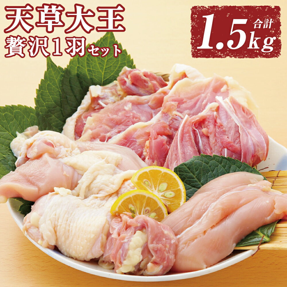 【ふるさと納税】天草大王 贅沢1羽セット 1.5kg 鶏肉 