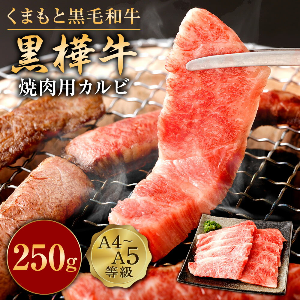 くまもと黒毛和牛 黒樺牛 A4~A5等級 焼肉用カルビ 250g 牛肉 牛 霜降り 赤身 お肉 焼き肉 BBQ 黒毛和牛 国産 九州産 熊本県産 冷凍 送料無料