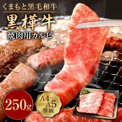 くまもと黒毛和牛 黒樺牛 A4~A5等級 焼肉用カルビ 250g 牛肉 牛 霜降り 赤身 お肉 焼き肉 BBQ 黒毛和牛 国産 九州産 熊本県産 冷凍 送料無料