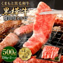 【ふるさと納税】くまもと黒毛和牛 黒樺牛 A4~A5等級 焼肉用カルビ 合計500g (250g×2パック) 牛肉 牛 霜降り 赤身 お肉 焼き肉 BBQ 黒毛和牛 国産 九州産 熊本県産 冷凍 送料無料