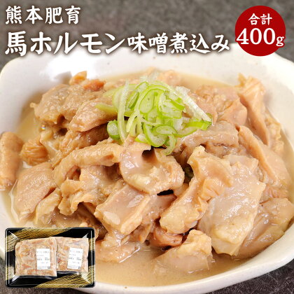 熊本肥育 馬ホルモン 味噌煮込み 合計400g 約200g×2パック ホルモン 馬肉 惣菜 おかず おつまみ 冷凍 九州 熊本県 菊陽町 送料無料