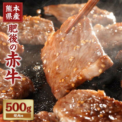 肥後の赤牛 焼肉用 約500g あか牛 肉 牛肉 和牛 焼き肉 冷凍 九州 熊本県 菊陽町 送料無料