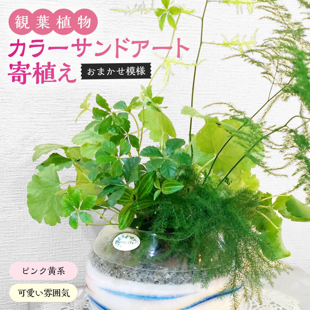 カラ—サンドアート 多肉植物 色砂 ピンク黄系 かわいい雰囲気 おまかせ模様 寄せ植え 植物 インテリア 置物 プレゼント ギフト 九州 熊本県 菊陽町 送料無料