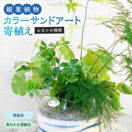 カラ―サンドアート 多肉植物 色砂 青緑系 爽やかな雰囲気 おまかせ模様 寄せ植え 植物 インテリア 置物 プレゼント ギフト 九州 熊本県 菊陽町 送料無料