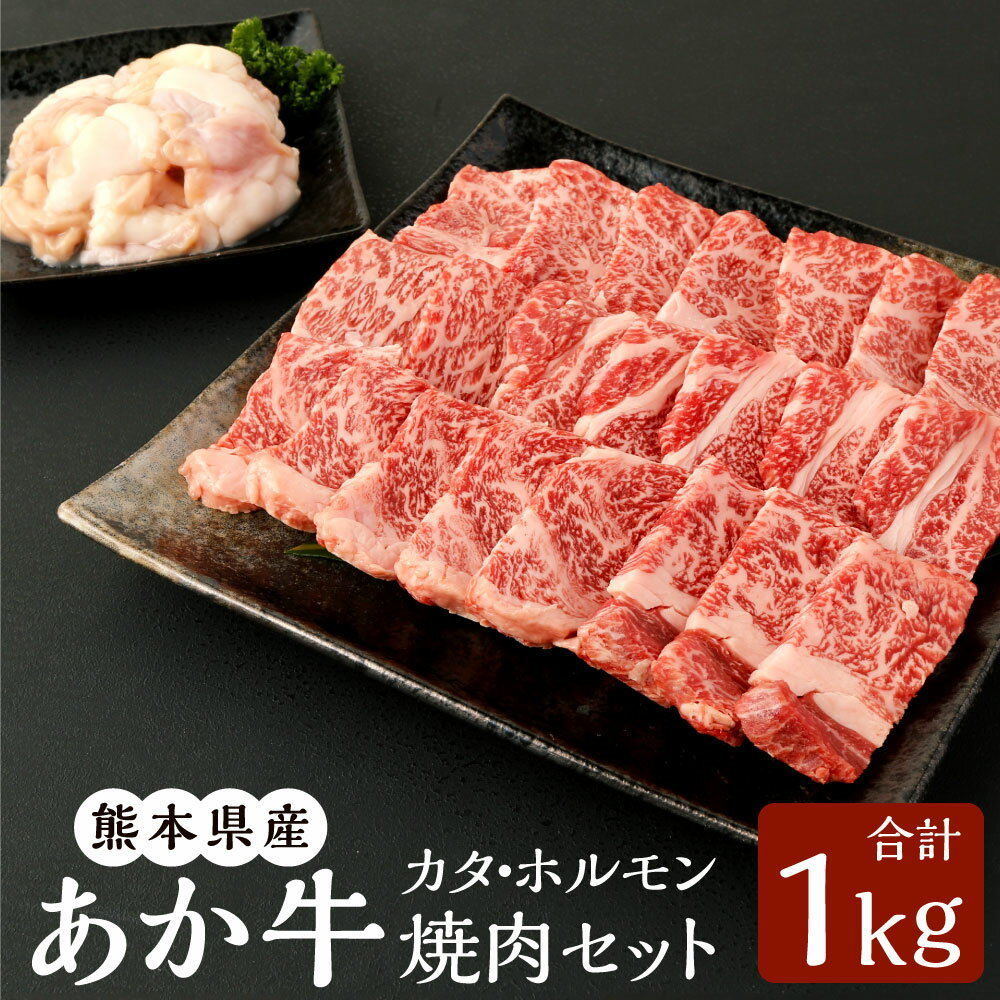 熊本県産 あか牛赤身焼肉セット(カタ 700g・ホルモン 300g) 合計1kg あか牛 赤牛 和牛 くまもとあか牛 赤身 焼き肉 カタ ホルモン 牛 牛肉 肉 お肉 セット 詰合せ 冷凍 国産 九州 熊本県 菊陽町 送料無料