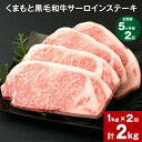 【ふるさと納税】【定期便】【5ヶ月毎2回】くまもと黒毛和牛サーロインステーキ 計2kg（1kg×2回） 牛肉 お肉 和牛 ステーキ 料理 冷凍 熊本県産 国産 九州 熊本県 菊陽町 送料無料