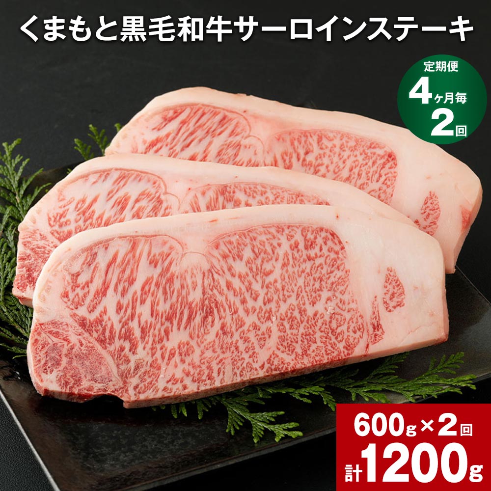 【定期便】【4ヶ月毎2回】くまもと黒毛和牛サーロインステーキ 計1200g（600g×2回） 牛肉 お肉 和牛 ウシ ステーキ 料理 冷凍 熊本県産 国産 九州 熊本県 菊陽町 送料無料