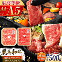 【ふるさと納税】【全6回定期便】くまもと黒毛和牛「藤彩牛」2種の食べ比べ計500g 3900 / 熊本県 菊陽町 肉 にく 新鮮 お祝 ギフト 贅沢 誕生日 ご...