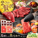 【ふるさと納税】【全6回定期便】「熊本特産馬刺しとくまもと黒毛和牛」フジチクオリジナル贅沢食べ比べセット 3905 / 熊本県 菊陽町 肉 にく 新鮮 お祝 ギ...