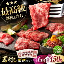 【ふるさと納税】【全3回定期便】「熊本特産」馬刺し専門店厳選の6種セット 3893 / 熊本県 菊陽町 肉 にく 新鮮 お祝 ギフト 贅沢 誕生日 ご褒美 厳選...