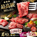【ふるさと納税】【全12回定期便】「熊本特産」馬刺し専門店厳選の6種セット 3893 / 熊本県 菊陽町 肉 にく 新鮮 お祝 ギフト 贅沢 誕生日 ご褒美 厳...