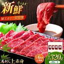 【ふるさと納税】【全6回定期便】フジチク ふじ 馬刺し 上赤身 4個 セット 計約320g / 専用醤油付き 生姜付き おすすめ 熊本県 熊本 馬刺 赤身 国産...