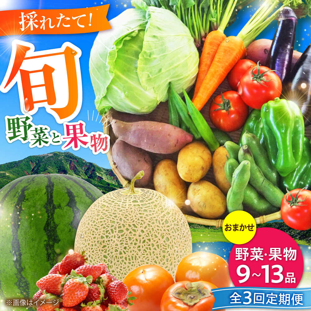 [全3回定期便]菊陽町特産品 「野菜・果物などの詰め合わせ」 / 新鮮 詰合せ フルーツ セット 旬 おまかせ にんじん 直売所 やさい くだもの 熊本県 特産品 菊陽町[有限会社さんふれあ][BHAK007]