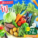 【ふるさと納税】【全12回定期便】【数量限定】旬の 野菜 セット (約3kg/野菜7-8品程度) / 新鮮 詰合せ やさい セット 旬 おまかせ にんじん ごぼ...