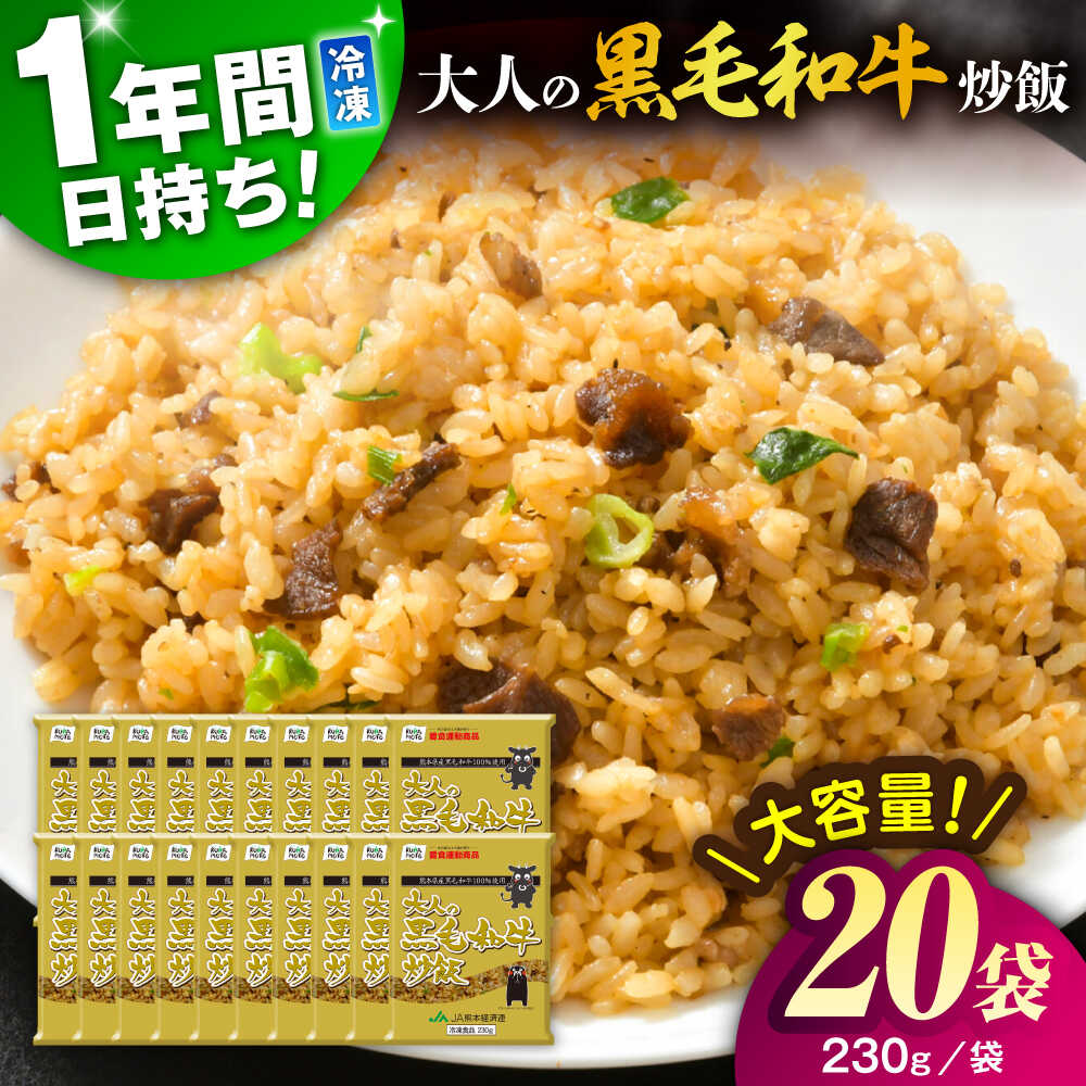 【ふるさと納税】熊本県産 こだわり炒飯 大人の黒毛和牛 炒飯 230g×20袋 合計4.6kg[BHCS004]