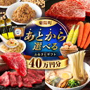 【ふるさと納税】【あとから選べる】菊陽町ふるさとギフト 40万円分 / 肉 カメラ ラーメン ハンバーグ ハラペーニョ 馬刺し 味噌 セレクト あとから 野菜 ...
