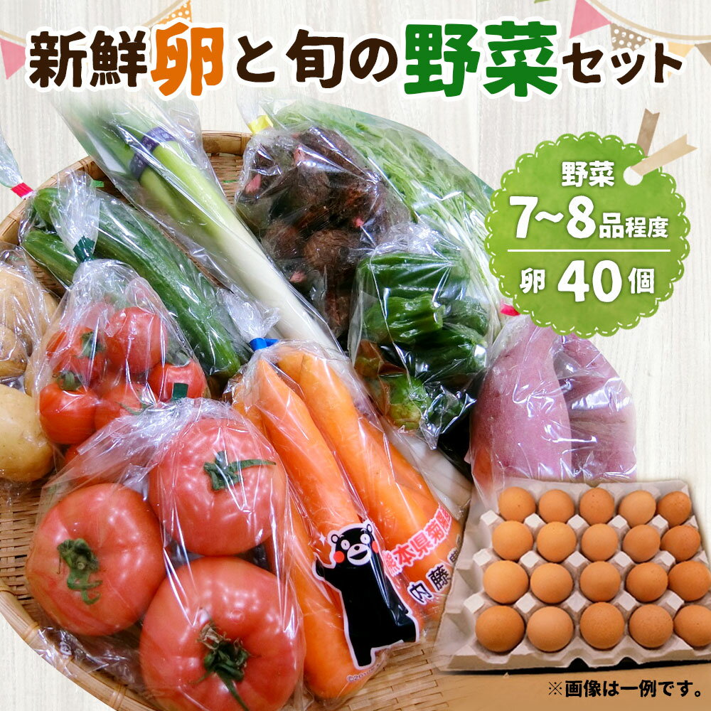 【ふるさと納税】新鮮卵と旬の野菜セット 目安7〜8品 卵 たまご タマゴ 野菜 セット 詰め合わせ 国産 九州産 熊本県産 送料無料